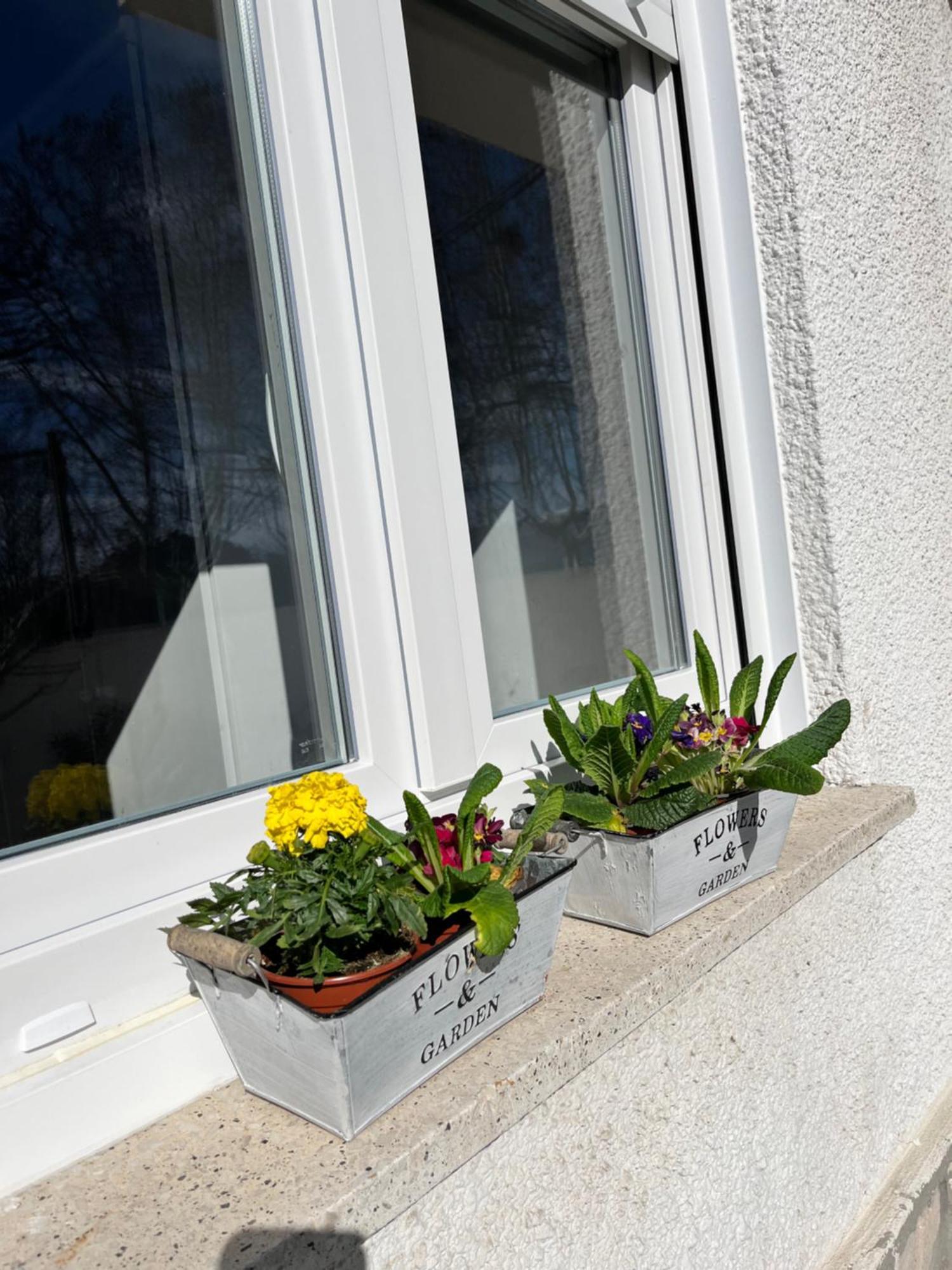 Eden Garden B&B Ponferrada Exteriör bild